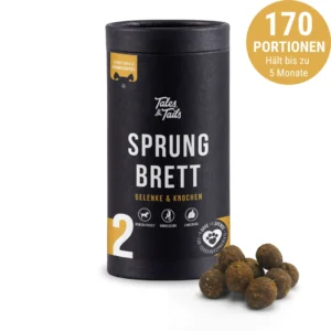 sprungbrett