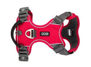 CWP Harness ClassicRed V2