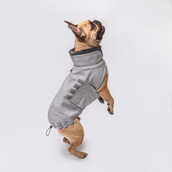 hunde trenchcoat oxford ivory