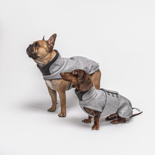 hunde trenchcoat oxford ivory