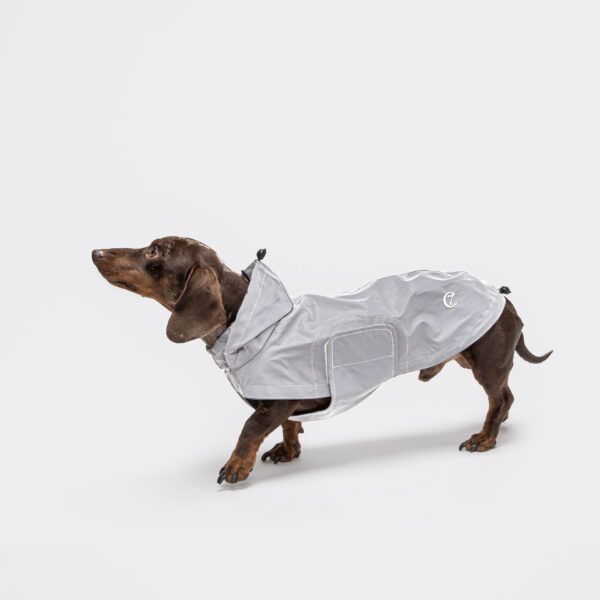 hunde trenchcoat oxford ivory