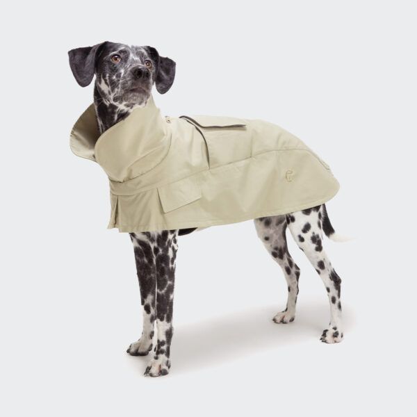 hunde trenchcoat oxford ivory