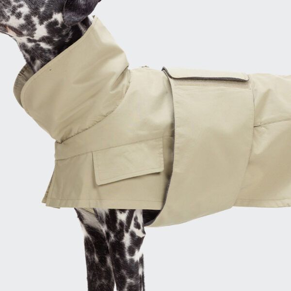 hunde trenchcoat oxford ivory