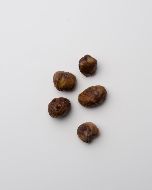 edition cornelia poletto leichtes ragout von der pute mit kürbis & maronen