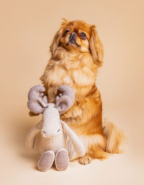 plüsch hundespielzeug rentier marley