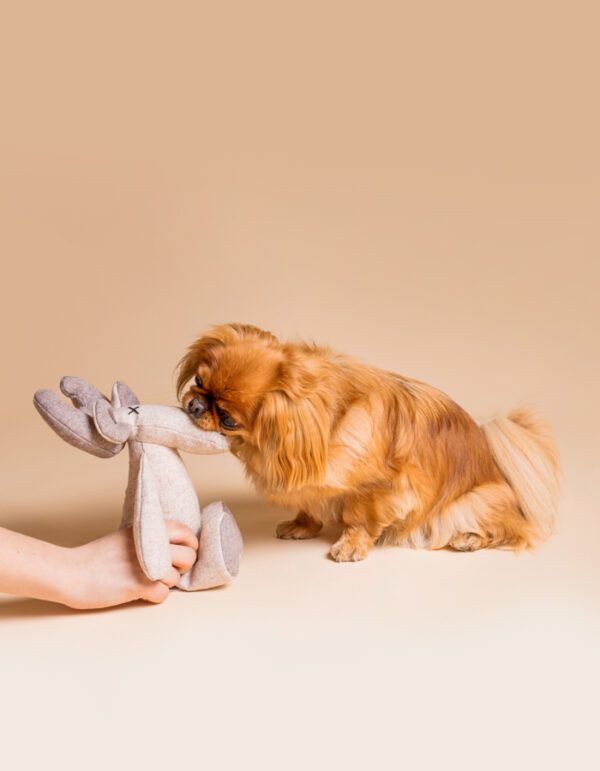 plüsch hundespielzeug rentier marley