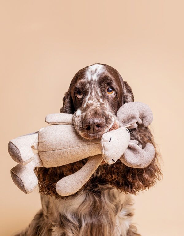 plüsch hundespielzeug rentier marley