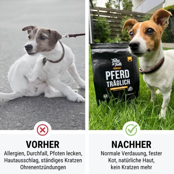 pferdträglich perfekt